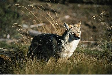 《房产达人2》试玩demo预告 6月19日上线