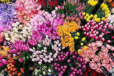 生存制作游戏《夜莺》确定亮相夏日游戏节 展示新功能和玩法